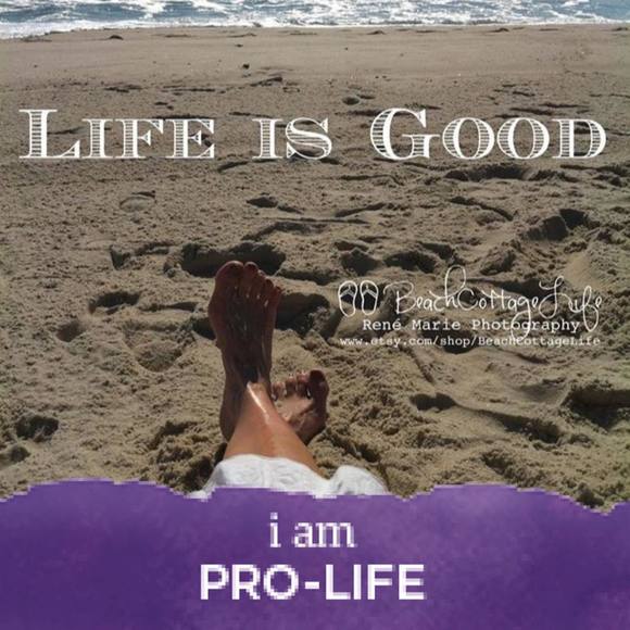 Meet your Posher, Rene - Picture 1 of 1